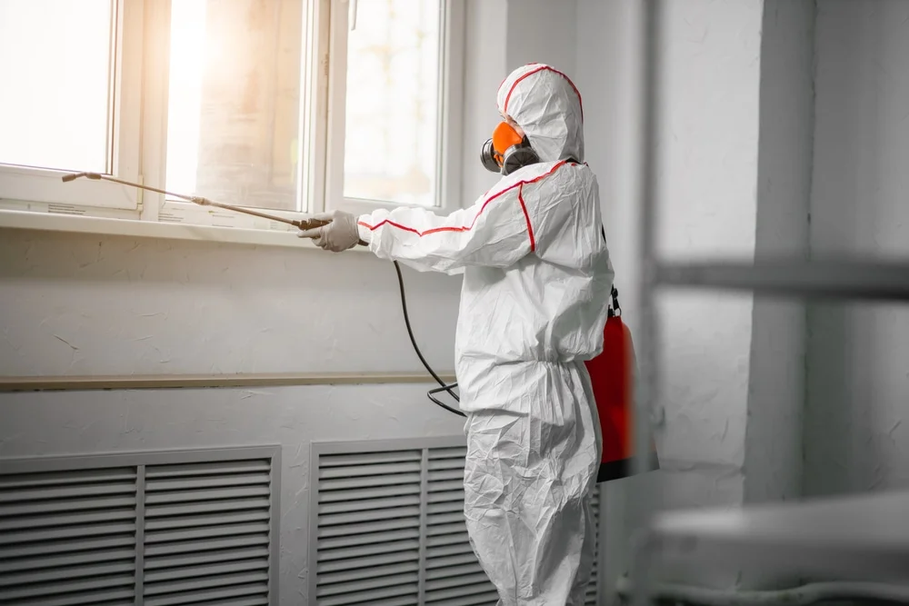 Professional mold remediation services in West Brookfield, MA